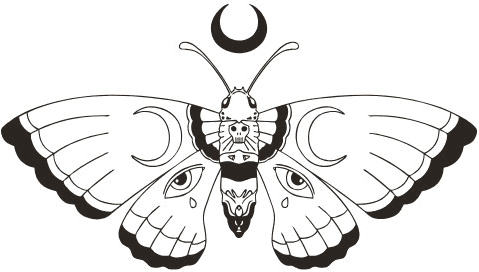 Papillon de nuit Quinny Moon