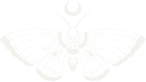 Papillon de nuit Quinny Moon