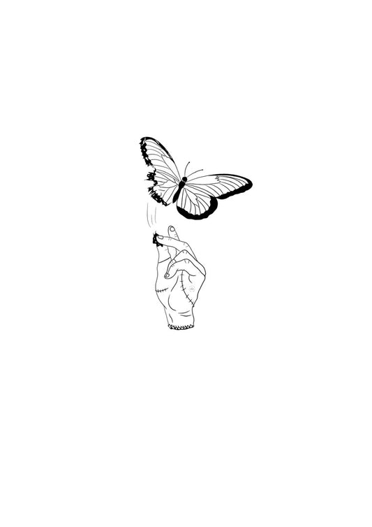 Projet - Addams Butterfly