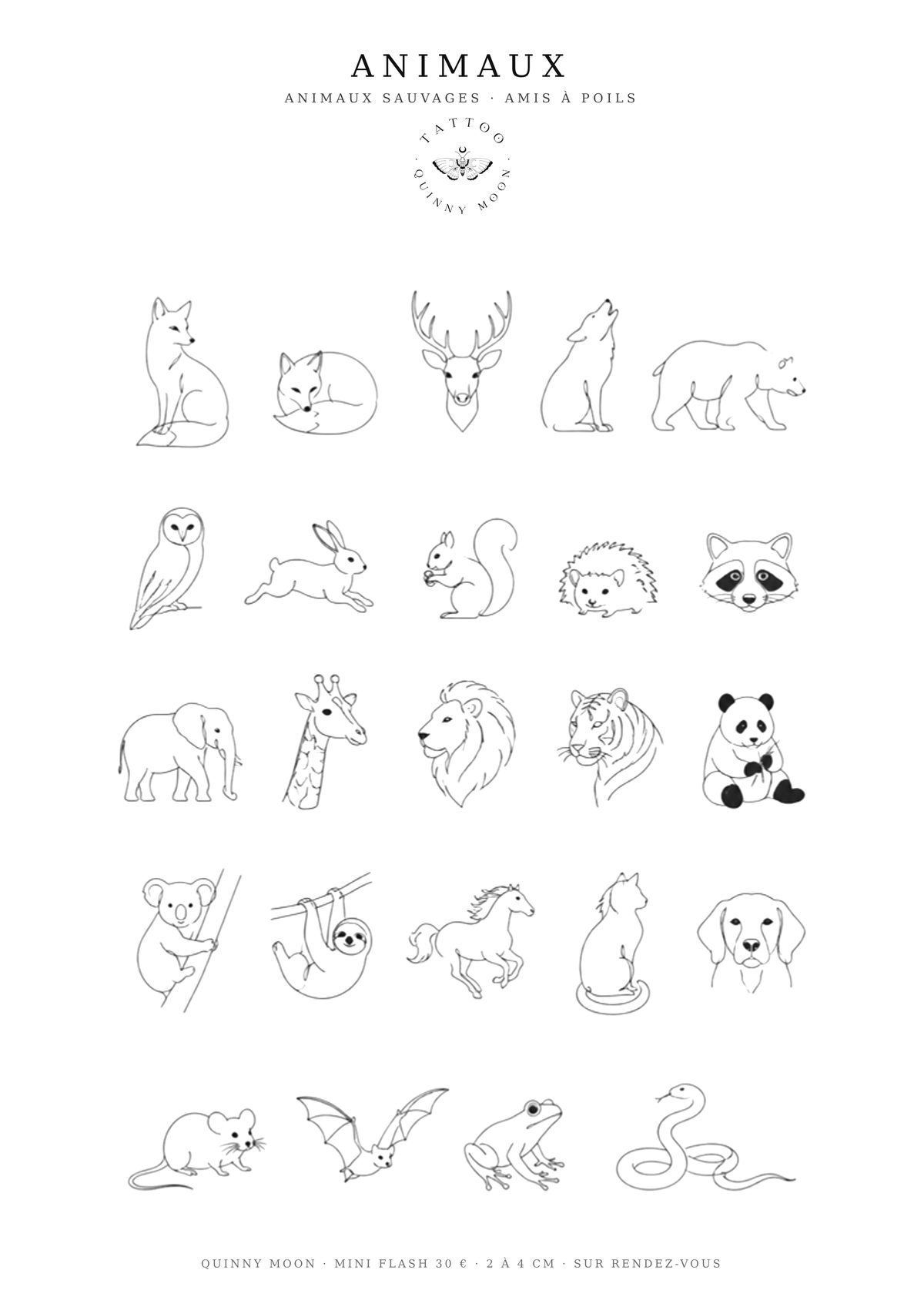 Planche flash Animaux — Mini Moon - 15